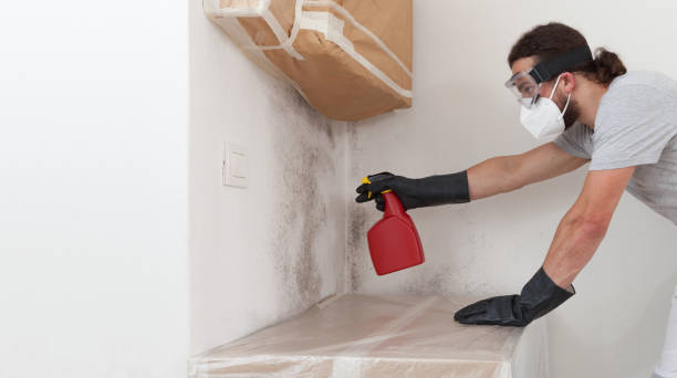 Professional Bathroom Mold Removal technician working in Cabin John, MD